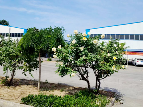 廠(chǎng)容廠(chǎng)貌